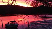 Top Patonga