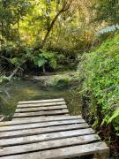 Top Curiñanco Top Curiñanco