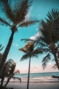 Top Hauula
