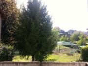 Top Borgomanero Top Borgomanero