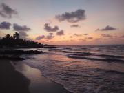 Top San Antero Top San Antero