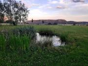 Top Mnichovo Hradiště