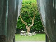 Top Campagnano di Roma