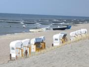 Top Zempin Top Zempin