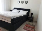 Top Arad