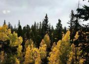 Top Duck Creek Village