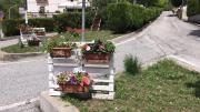 Top Acciano