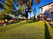 Golden Summer Apartment