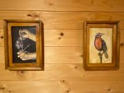 Top Coihaique Top Coihaique