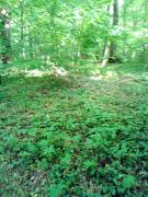 Appartementt à louer à Rennes