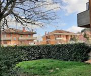 Top Sarteano