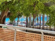 Top Alicante