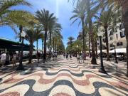 Top Alicante Top Alicante