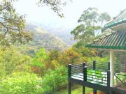 Windy Rich Bungalow Belihuloya