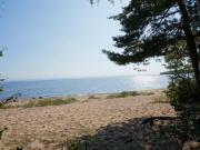 Top Halmstad