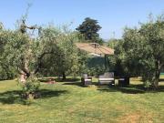 Top Castellina Marittima