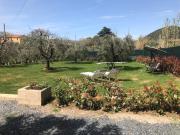 Top Castellina Marittima