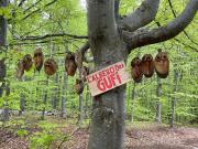 Top Tonezza del Cimone