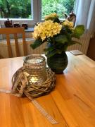 Ferienhaus Königskirsche