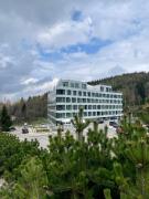 Top Sienna Top Sienna