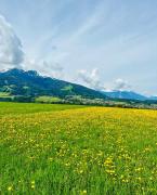 Top Innsbruck