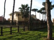 Top Lido dei Pini