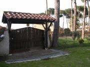 Top Lido dei Pini