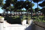 Top Lido dei Pini