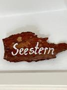 Seestern