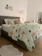 Family friendly, cozy house in Athens