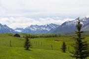 Top Waterton Park