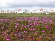 Vivenda com jardim no campo a 350 do Mar