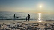 Top Panama City Beach
