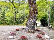 Top SantʼUrbano Top SantʼUrbano