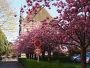 Top Marcq-en-Baroeul