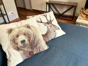 Top Valencia de Aneu