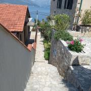Top Krasici