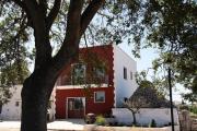 Top Alberobello