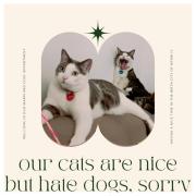 Chez Ramsés et Richelieu