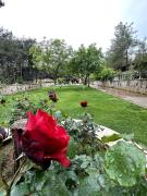 Top Yenice