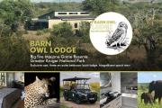 Barn Owl Lodge, Mjejane Game Reserve, Greater Kruger Park