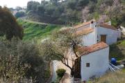 Top Benamargosa