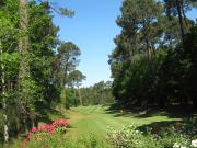 Villa Biscarrosse Golf, 8 pers, piscine chauffée, jardin - FR-1-319-508