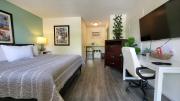 Top Lake Worth