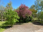 Top Vledderveen Top Vledderveen