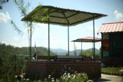 Top Almora