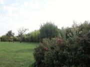 Top La Tranche-sur-Mer