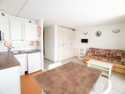 Appartement lumineux avec balcon, près des pistes et commerces, animaux acceptés - FR-1-502-503