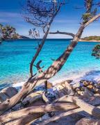 Olbia Center Regina Elena 49 king