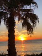 Top Torrevieja